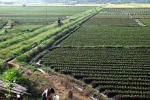 北海农业观光园